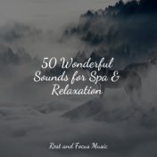 50 Wonderful Sounds for Spa & Relaxation