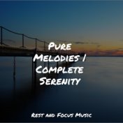 Pure Melodies | Complete Serenity