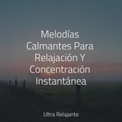 Melodías Calmantes Para Relajación Y Concentración Instantánea