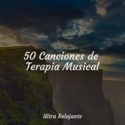50 Canciones de Terapia Musical