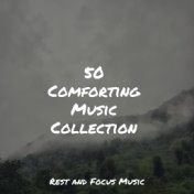 50 Comforting Music Collection