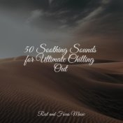 50 Soothing Sounds for Ultimate Chilling Out
