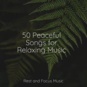 50 Peaceful Songs for Relaxing Music