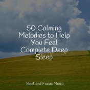 50 Calming Melodies to Help You Feel Complete Deep Sleep