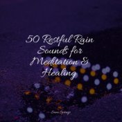 50 Restful Rain Sounds for Meditation & Healing