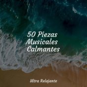 50 Piezas Musicales Calmantes