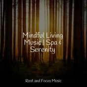 Mindful Living Music | Spa & Serenity