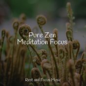 Pure Zen Meditation Focus