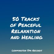 50 Tracks of Peaceful Relaxation and Healing