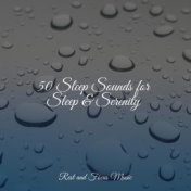 50 Sleep Sounds for Sleep & Serenity