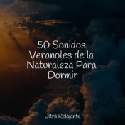 50 Sonidos Veranoles de la Naturaleza Para Dormir