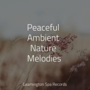 Peaceful Ambient Nature Melodies