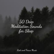 50 Deep Meditation Sounds for Sleep