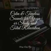 Calm & Timeless Sounds for Yoga or Study and Total Relaxation