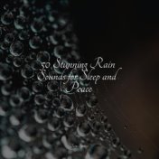 50 Stunning Rain Sounds for Sleep and Peace