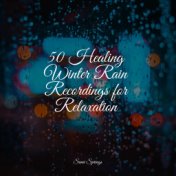 50 Healing Winter Rain Recordings for Relaxation