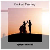 Broken Destiny Sympho Shake 22