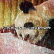 27 Dreamy Storm Delights Meditation