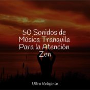 50 Sonidos de Música Tranquila Para la Atención Zen