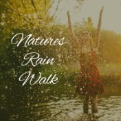 Natures Rain Walk