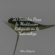 50 Sonidos Para la Meditación Relajante en la Naturaleza