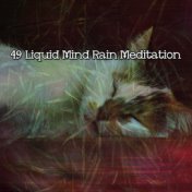 49 Liquid Mind Rain Meditation