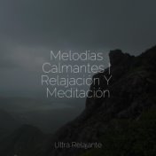 Melodías Calmantes | Relajación Y Meditación