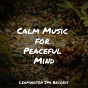 Calm Music for Peaceful Mind
