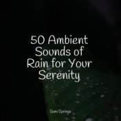 50 Ambient Sounds of Rain for Your Serenity