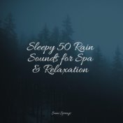 Sleepy 50 Rain Sounds for Spa & Relaxation