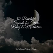 50 Beautiful Sounds for Stress Relief & Meditation