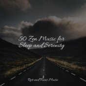 50 Zen Music for Sleep and Serenity