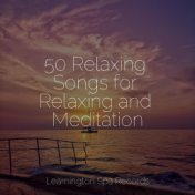 50 Relaxing Songs for Relaxing and Meditation