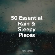 50 Essential Rain & Sleepy Pieces