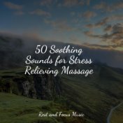 50 Soothing Sounds for Stress Relieving Massage