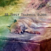 55 Truly Tranquil Sleep