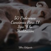50 Poderosas Canciones Para El Spa Y la Meditación