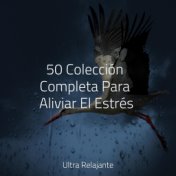 50 Colección Completa Para Aliviar El Estrés