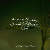 #50 50 Soothing Sounds for Yoga or Spa