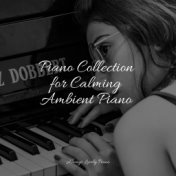 Piano Collection for Calming Ambient Piano