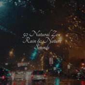 50 Natural Zen Rain & Nature Sounds