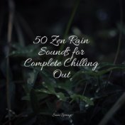 50 Zen Rain Sounds for Complete Chilling Out
