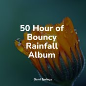 50 Hour of Bouncy Rainfall Album