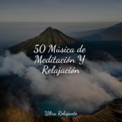 50 Canciones Para Dormir