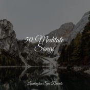 50 Meditate Songs
