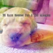 39 Rain Sounds for a Zen Massage