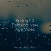 Spring 50 Relaxing New Age Vibes