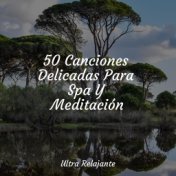 50 Canciones Delicadas Para Spa Y Meditación