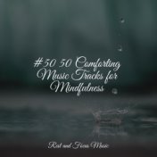 #50 50 Comforting Music Tracks for Mindfulness