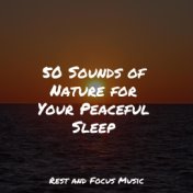 50 Sounds of Nature for Your Peaceful Sleep